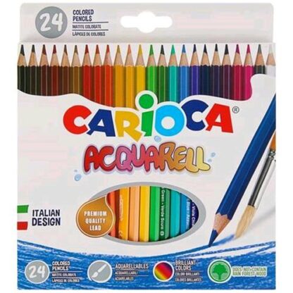 CARIOCA ACQUARELL PASTELLI ACQUARELLABILI COLORI ASSORTITI CONF 24 Pz.