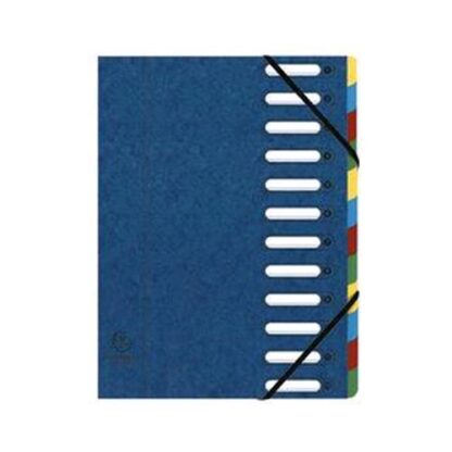 EXACOMPTA HARMONIKA CLASSIFICATORE 12 SCOMPARTI FORMATO A4 32X24 CM IN CARTONCINO LUSTRE' COLORE BLU