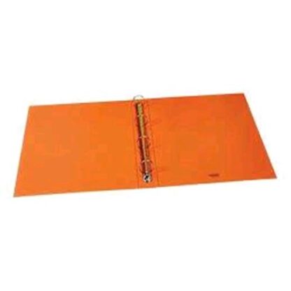 FAVORIT NEON RACCOGLITORI 4 ANELLI DA 30 MM IN CARTONE CM 22X30X3 FLUO ARANCIO