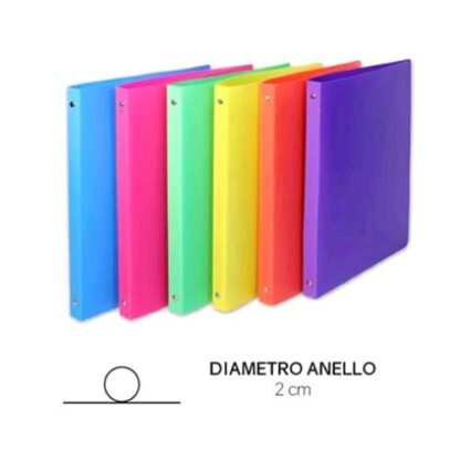 SCATTO RACCOGLITORI 4 ANELLI DA 20 MM IN PP CM 25.5X31.5 COLORI FLUO ASSORTITI