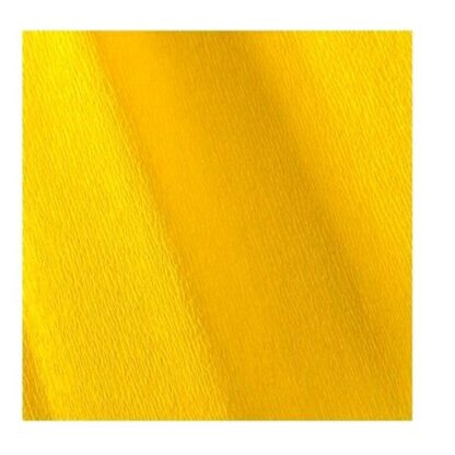 CANSON CARTA CRESPA SUPERIOR DA 48 GR 0.5X2.5 MT COL. GIALLO LIMONE CONF 10 Pz.
