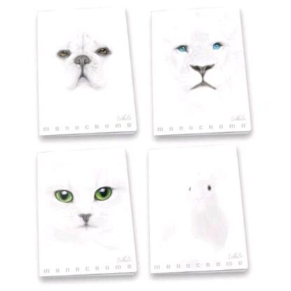 PIGNA MONOCROMO WHITE QUADERNO MAXI A4 100GR RIGHE 0C 19 FOGLI BIANCO CONF 10 Pz.