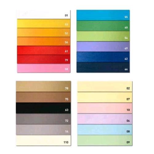 CARTOTECNICA FAVINI BRISTOL COLOR 200 CARTONCNI COLORATI 200GR 70X100 CM ARANCIO CONF 10 Pz.