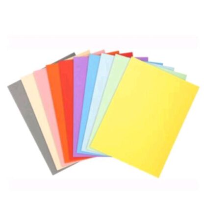 EXACOMPTA FOREVER CARTELLINE IN CARTONCINO RICICLATO 320X240 mm A4 COLORI ASSORTITI CONF 100 Pz.
