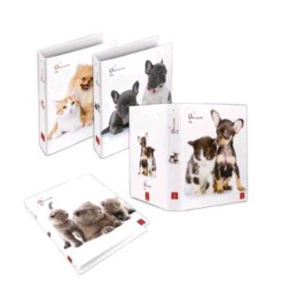 PIGNA DOLCI CUCCIOLI RACCOGLITORE AD ANELLI 270X300X30 mm FANTASIE ASSORTITE CONF 5 Pz.