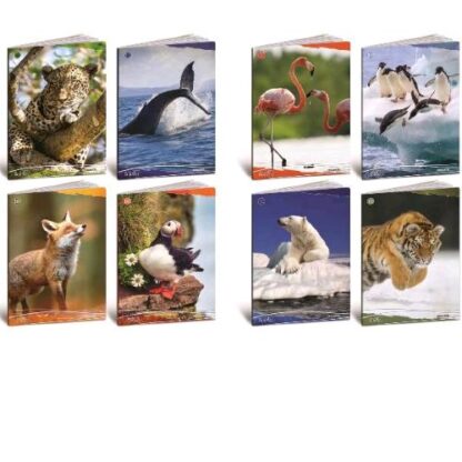 BLASETTI ANIMALI QUADERNO PUNTO METALLICO 100GR 210X297 A4 18 FOGLI A RIGHE 0A FANTASIE ASSORTITE CONF 10 Pz.