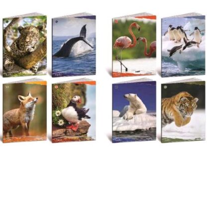 BLASETTI ANIMALI QUADERNO PUNTO METALLICO 100GR 210X297 A4 18 FOGLI A QUADRETTI 4F FANTASIE ASSORTITE CONF 10 Pz.