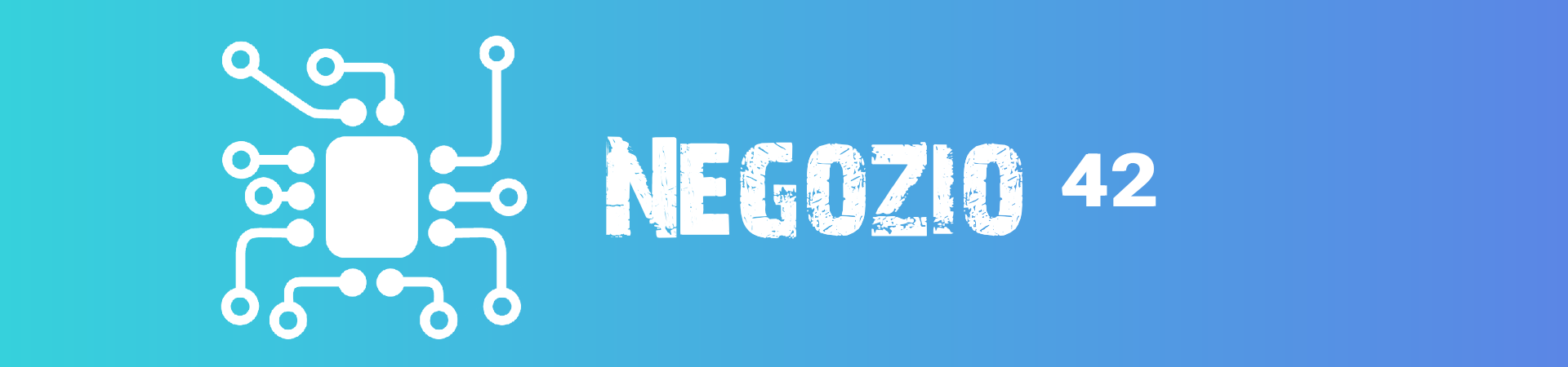 Negozio 42